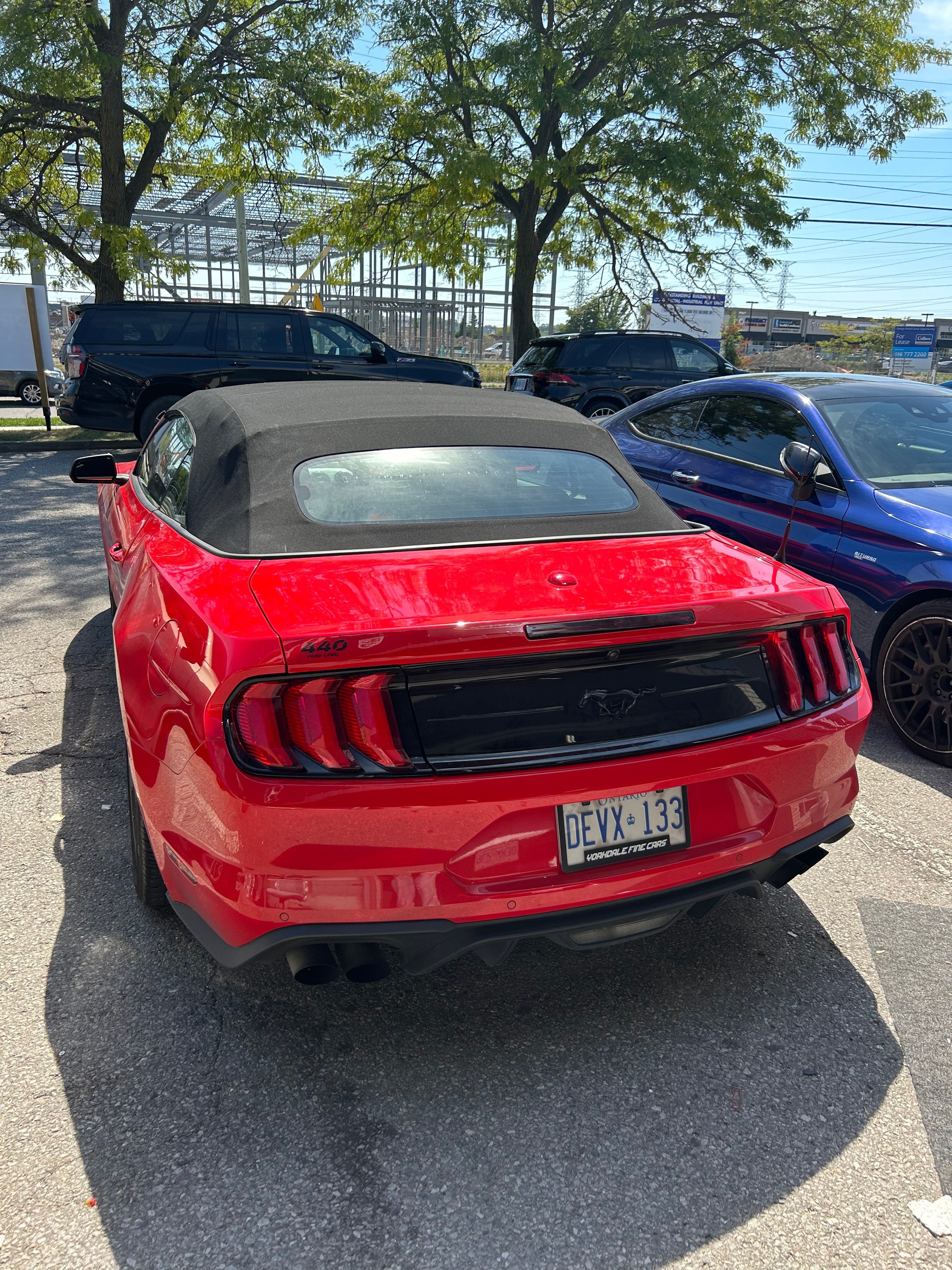 Mustang Convertible